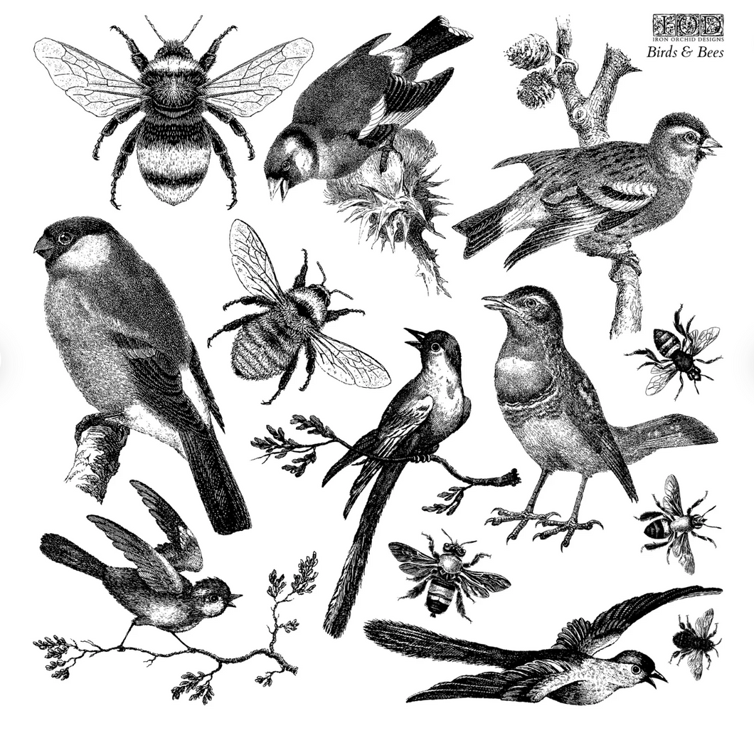 Carimbo BIRDS & BEES IOD ,  Iron Orchid Designs /COLECÇÃO IOD PRIMAVERA 2023 