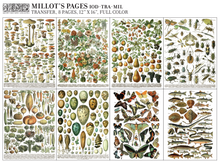 Carregar imagem no visualizador da galeria, MILLOT’S PAGES IOD TRANSFER  / COLECÇÃO IOD PRIMAVERA 2023
