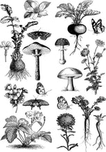 Carregar imagem no visualizador da galeria, Fungi Forest REDESIGN DECOR TRANSFERS®  – Tamanho 61cm x 89 cm  divido por 2 folhas
