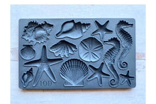 Carregar imagem no visualizador da galeria, Iron Orchid Designs Sea Shells Moldes
