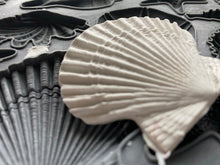 Carregar imagem no visualizador da galeria, Iron Orchid Designs Sea Shells Moldes

